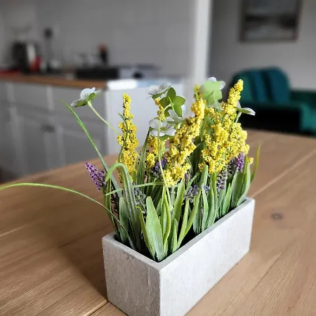 Sea View Penthouse Flat 6 With Fast Wifi And Free Parking *