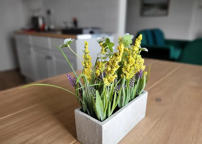 Sea View Penthouse Flat 6 With Fast Wifi And Free Parking *