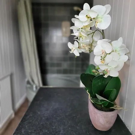 Sea View Penthouse Flat 6 With Fast Wifi And Free Parking Lägenhet Scarborough
