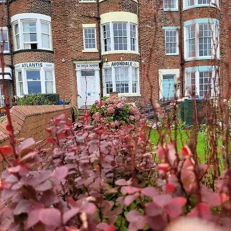 Sea View Penthouse Flat 6 With Fast Wifi And Free Parking Lägenhet *